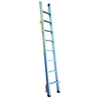 Fire ladders Драбина-палка металева  (ДП)